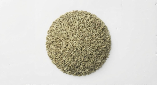 Fenchelsaat Bio