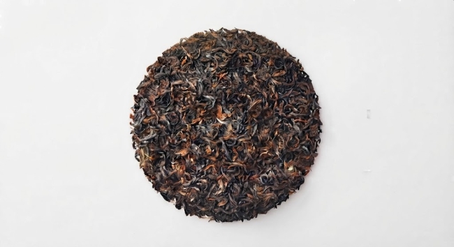 Lingia Bio