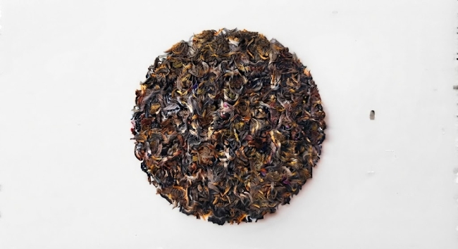 Steinthal Bio
