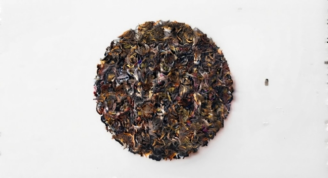 Yunnan Imperial